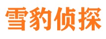 文县市私人侦探